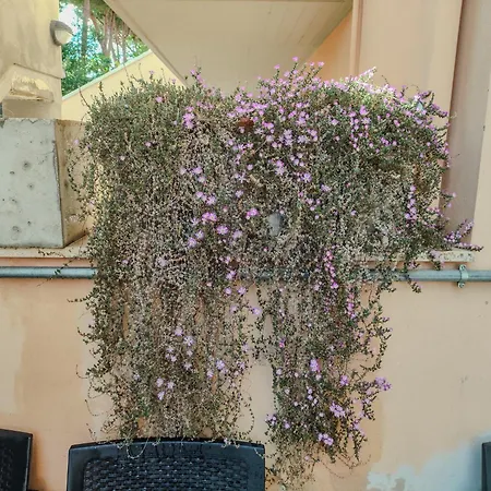 Casa Angela Apartment Francavilla Al Mare