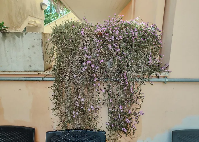 Casa Angela Apartman Francavilla al Mare